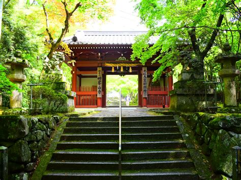 神峰山寺|大阪 高槻 神峯山寺の歴史と信仰 